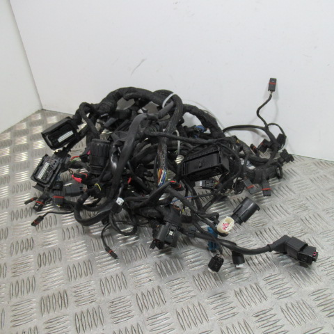 Faisceau électrique BMW K1200R – 2005 –