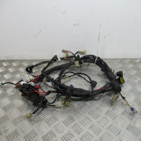 Faisceau électrique YAMAHA 600 FAZER – 2000 –